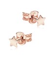 Star Shaped Silver Ear Stud STS-5303